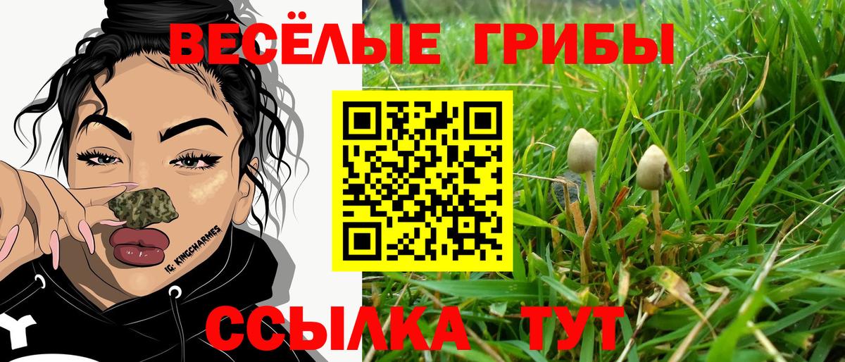 Галлюциногенные грибы Psilocybe  Галлюциногенные грибы MAGIC MUSHROOMS  Вход с VPN  Сунжа 