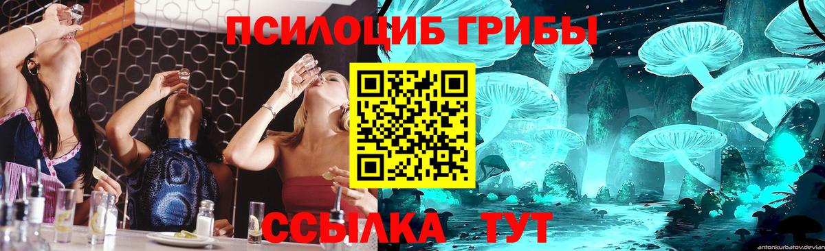 Псилоцибиновые грибы Psilocybine cubensis Сунжа